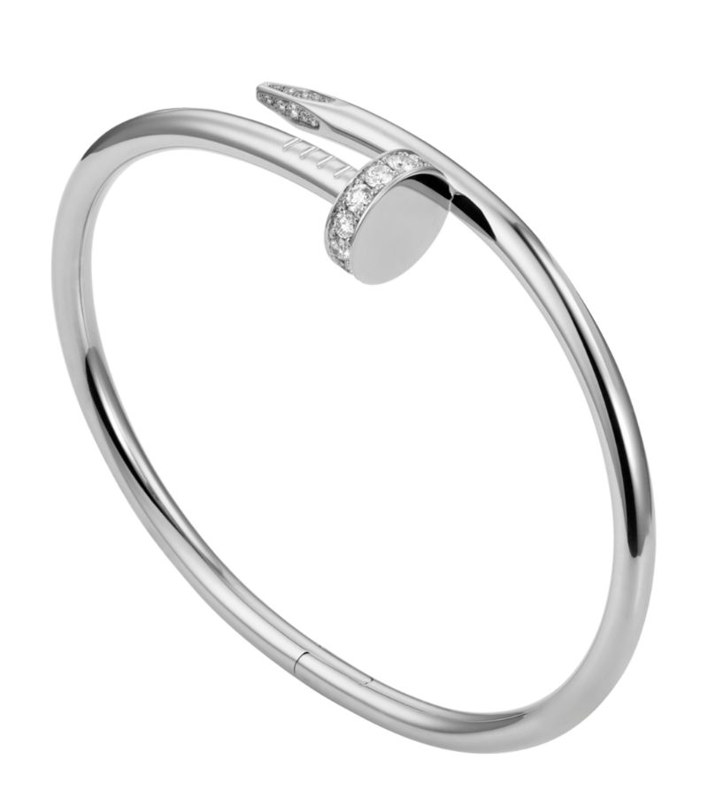 Elegant Nail Silver
