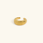 Luden Ring